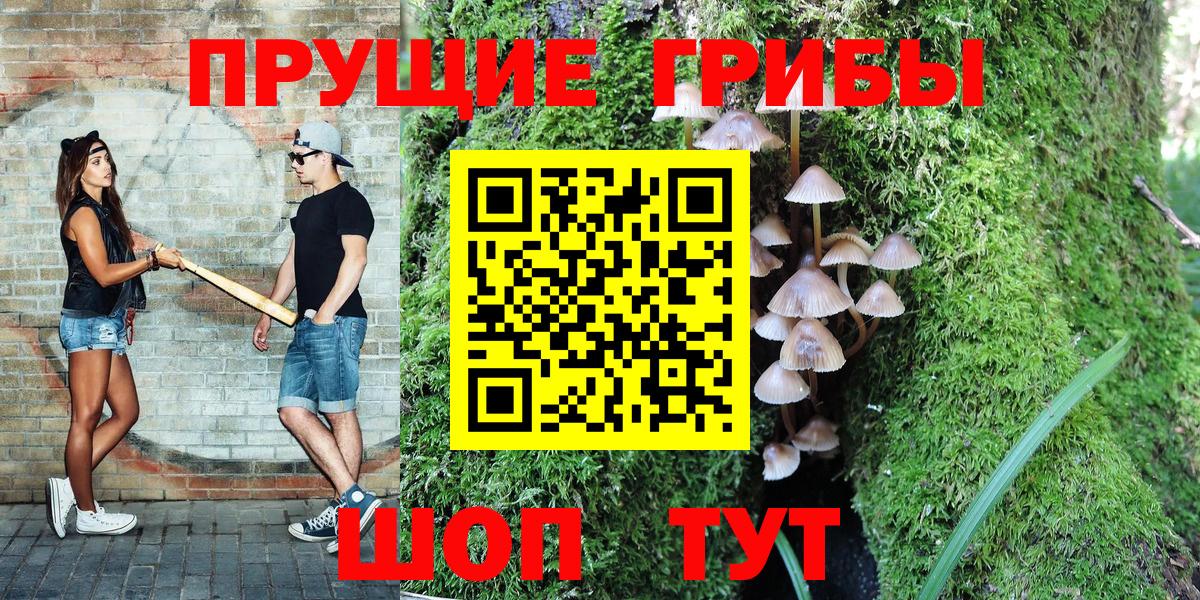 Псилоцибиновые грибы Psilocybine cubensis Оренбург